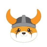 1000FLOKIUSDT Logo