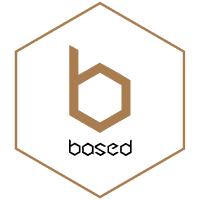 BASEDUSDT Logo