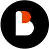 BICOUSDT Logo