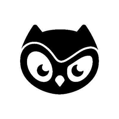 BIRBUSDT Logo