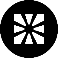 CUSDT Logo