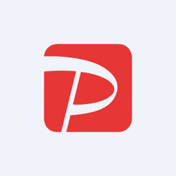 PAYPUSDT Logo