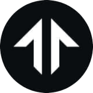 TNSRUSDT Logo